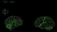 Psikoloji: İnsan Zihninin ve Davranışının Bilimi ile ilgili video