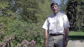 Westchester County SWCD Stream Buffer Restoration