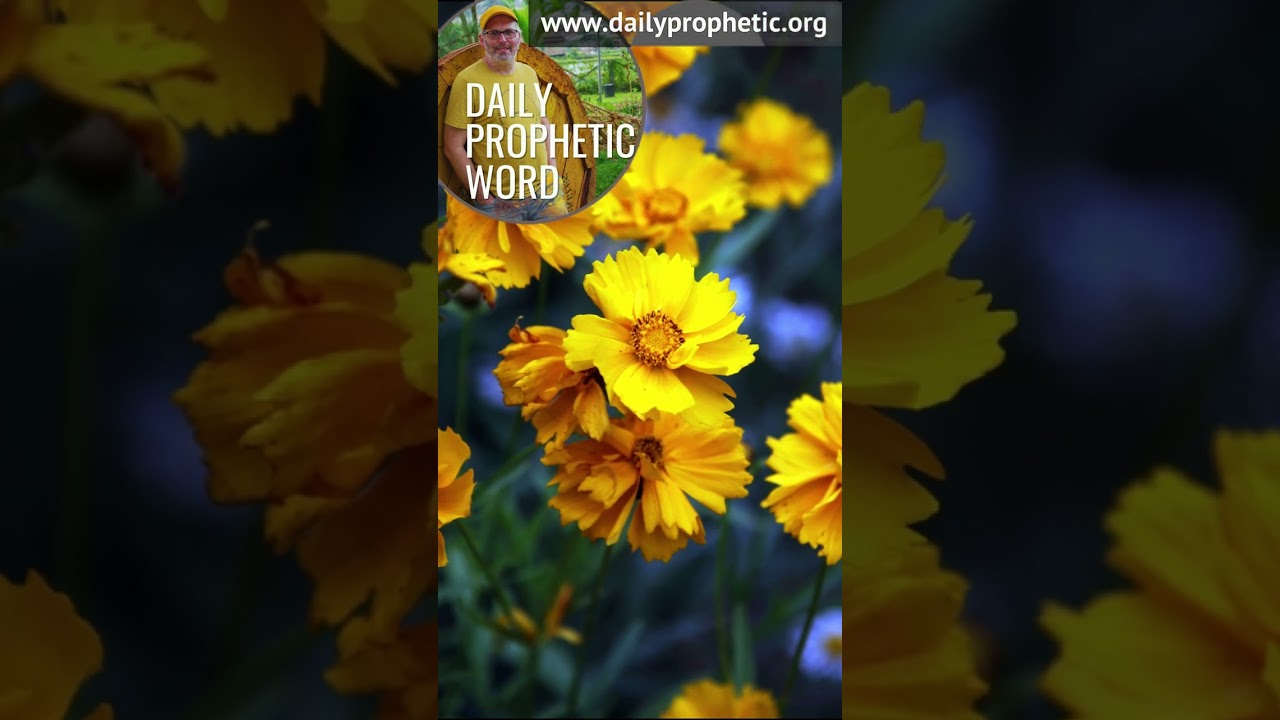 A Word From the Lord for Today 