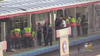 Red Line Temporarily Halted After Woman Hit By Train