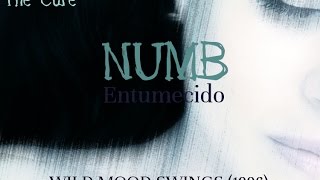 NUMB - The Cure (Wild Mood Swings) (letra inglés + subtítulos español)