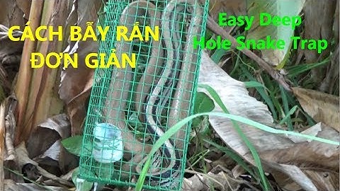 Easy Deep Hole Snake Trap -  Đi Bẫy Rắn Và Kết Qủa Bất Ngờ  (Pou Phung)