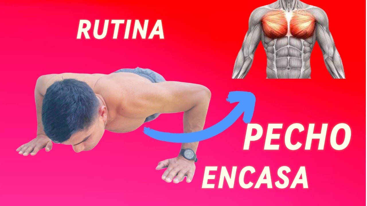 El Mejor Entrenamiento Para | PECHO EN CASA | Sin Equipo - YouTube