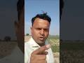 kam jameen mein achcha munafa kheti ke sang #farming #automobile #agriculture #saudiagriculture #ai