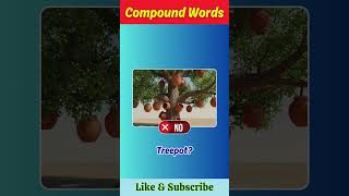 Funny English Words 🤯 #funquiz #english #viral #shortsquiz #riddles