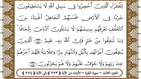 سورة البقرة من الأية 273 -274 بصوت الشيخ على جابر