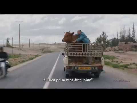 LA VACHE Dtor Mohamed Hamidi V O S