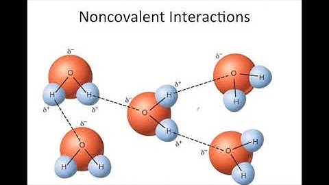 Types of Noncovalent Interactions