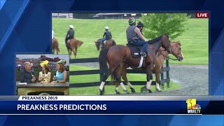 Professional handicapper shares tips on picking horses at Preakness