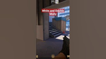 White and Double Molotov | CS2 Vertigo #counterstrike2 #cs2