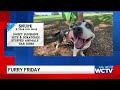 Furry Friday: Meet Snupe!