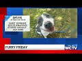 Furry Friday: Meet Snupe!