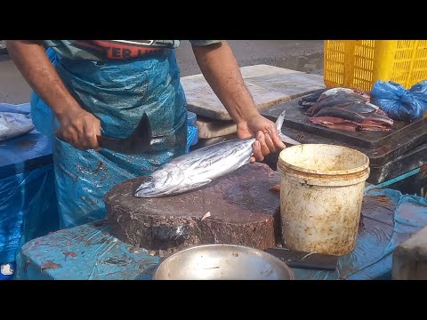 7 Oktober 2024 7 Oktober 2024