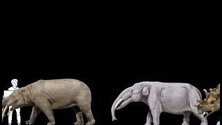 Size Comparison: Encounting Cenozoic Beasts (Eocene - Plestocene)