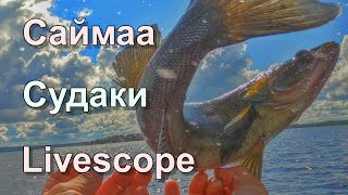 Рыбалка на судака на озере Саймаа с Garmin Panoptix LiveScope