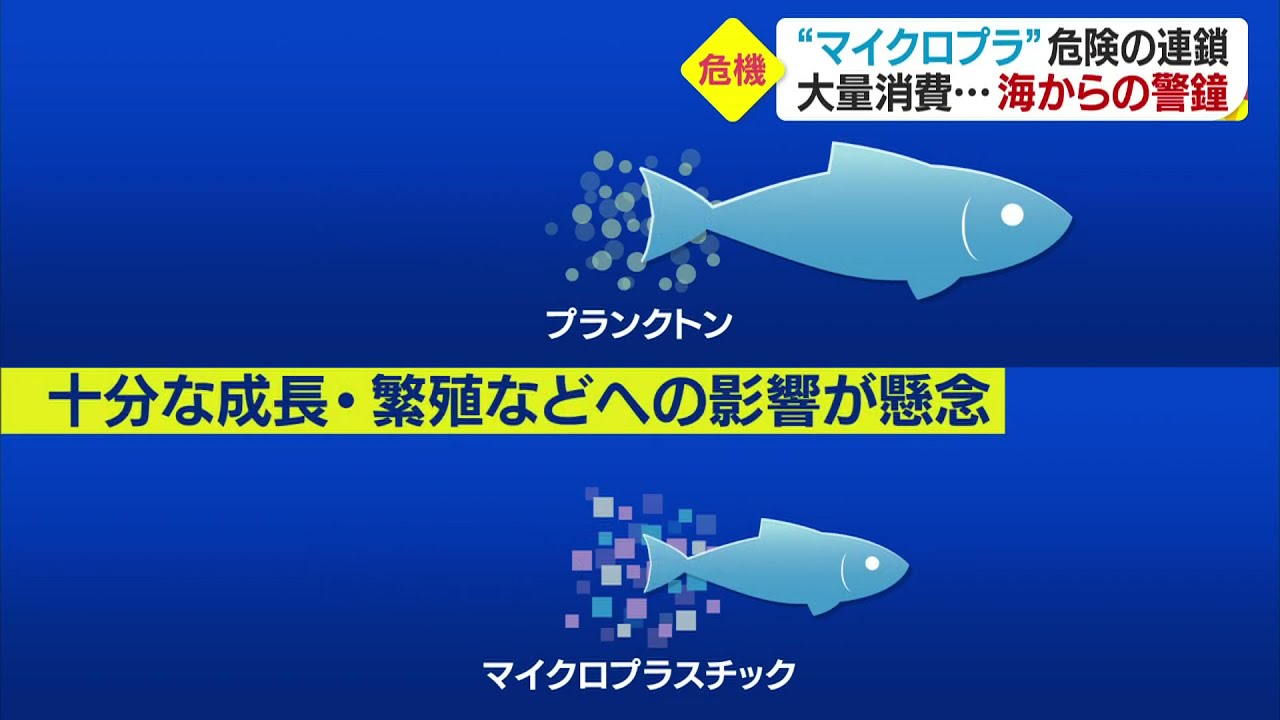 瀬戸内海に迫る“マイクロプラスチック”問題