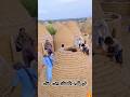منزل من الرمل هكذا ت بنى المنازل والملاجئ في قلب الصحراء منازل الأزمات باكستان ابتكار 