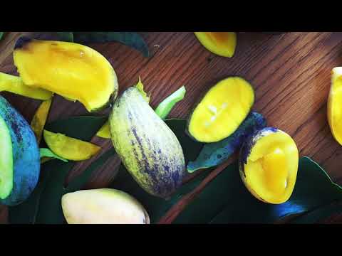 Mango Mania: The Secret Flavor You're Missing!