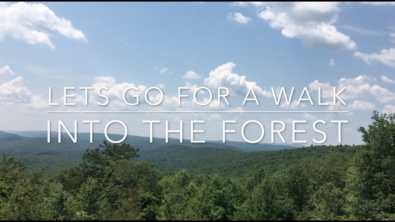 Image showcasing CMP Gaming