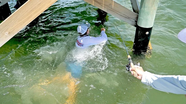 Massive Bait Catch with Surprise Cobia & Snook in Tampa Bay