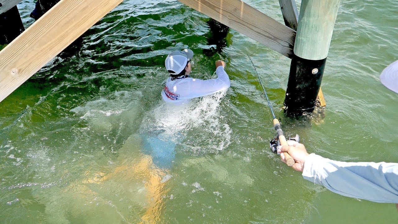 Massive Bait Catch with Surprise Cobia & Snook in Tampa Bay Camping