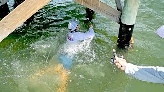 Massive Bait Catch with Surprise Cobia & Snook in Tampa Bay