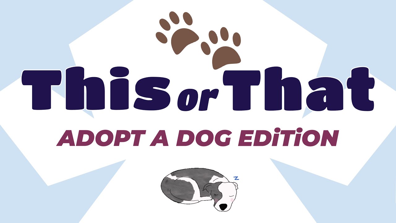 Adopt Your Dream Dog Edition | THIS or THAT