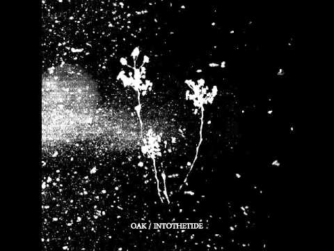 Oak / Into The Tide artwork