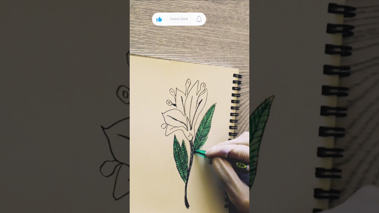 Beautiful flower painting and coloring 
