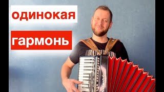 ! САМАЯ ДУШЕВНАЯ ПЕСНЯ ! Одинокая гармонь на Аккордеоне баяне - Аккордеонист Баянист видео