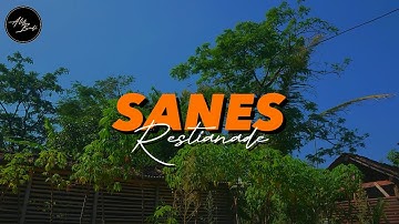 SANES - GUYON WATON Ft DENNY CAKNAN | Cover Restianade (Lirik Lagu)