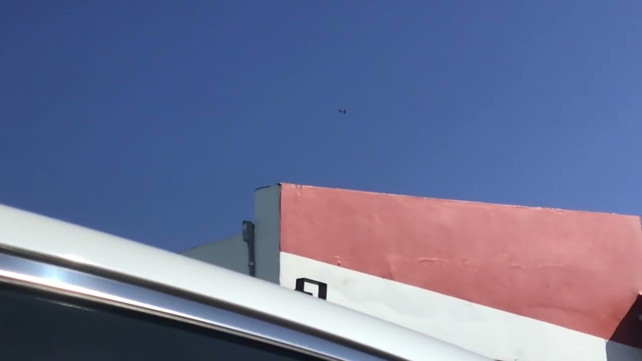 Cape Air Cessna 402C approaching from my house (N402VN)