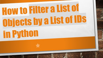 How to Filter a List of Objects by a List of IDs in Python