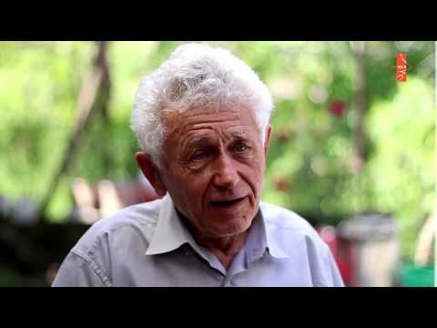 საქართველოში ბატატის მოყვანა დაიწყო