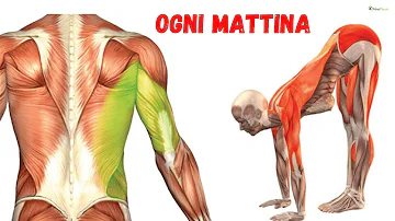 6 esercizi stretching da fare tutti i giorni