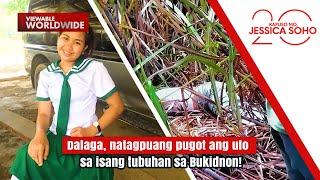 Dalaga Natagpuang Pugot Ang Ulo Sa Isang Tubuhan Sa Bukidnon  Kapuso Mo Jessica Soho