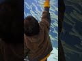 みんな集まれ~魚を集められるようになった息子