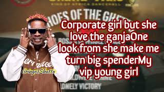 Shatta Wale - Vip Girl Lyrics Video