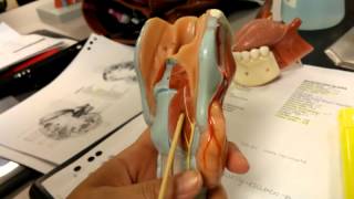 VIDEO0047