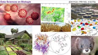 Présentation de l'UE Data Sciences en Biologie du L3S6 (Université Paris-Saclay)
