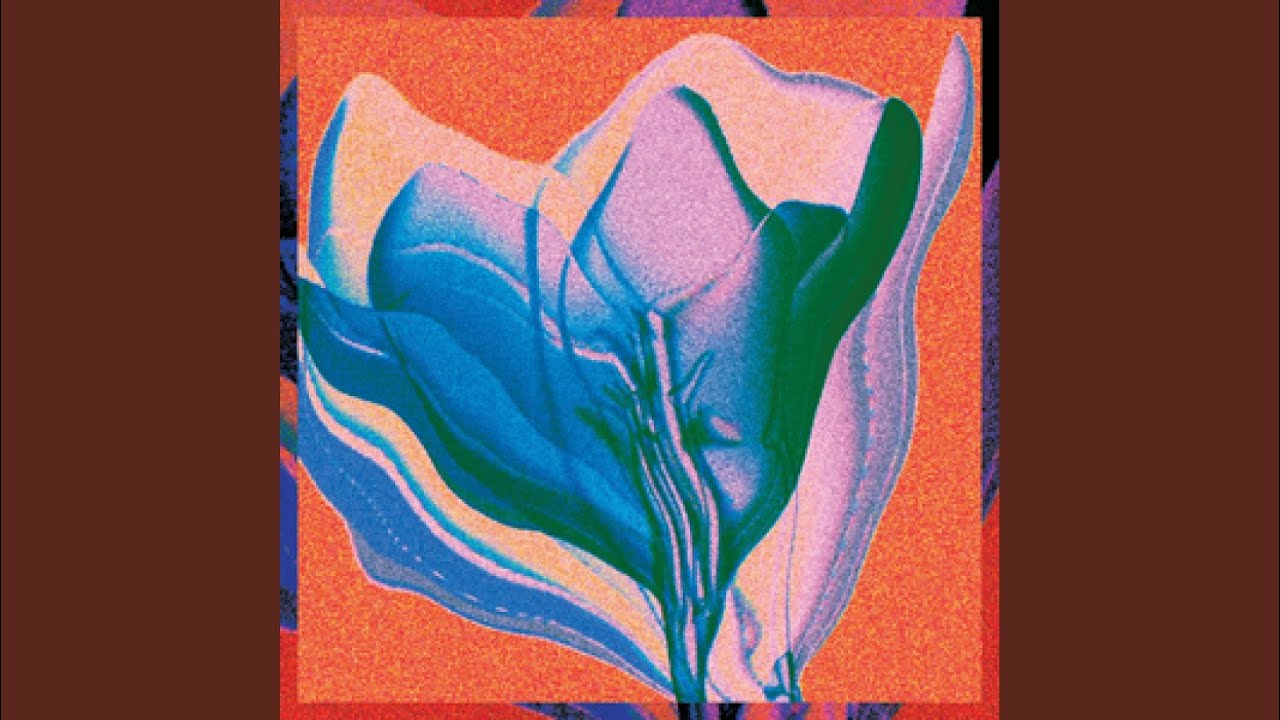 Guarda Vessel (Beringei Remix) su YouTube Guarda Vessel (Beringei Remix) su YouTube