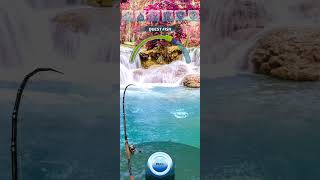 Let's fish - Day strike Sucker Barb 14kg in Kuang Si Waterfall #shorts #fishing #game screenshot 5