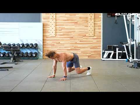 Quadruped Plank Hold