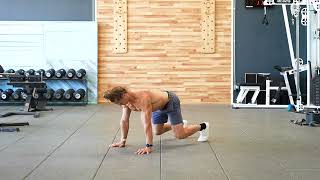 Quadruped Plank Hold