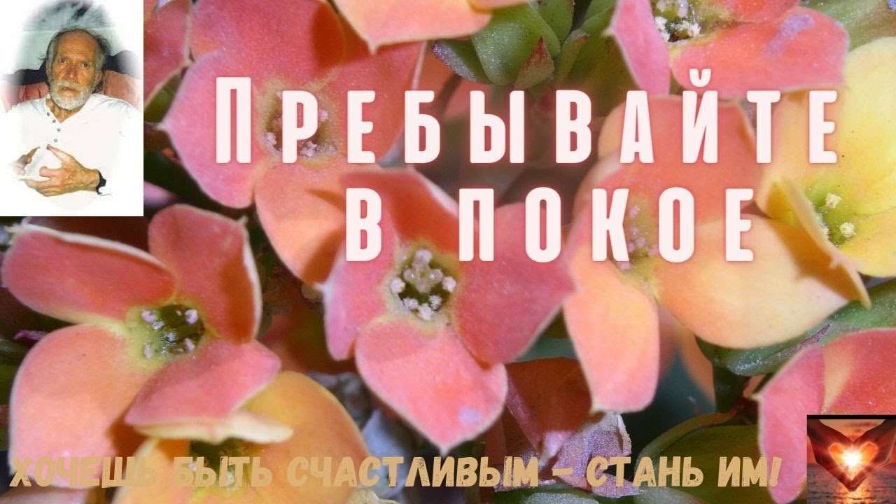 📗Роберт АДАМС📖Сознание📗 #Аудиокнига📗Роберт АДАМС📖Сознание📗 #Аудиокнигам ...