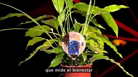 Arduino Massimo Banzi TED Talks en Español -Spanish-