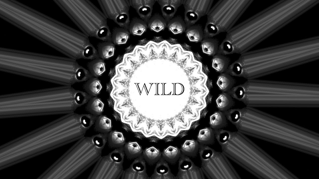 JackJack | Eromyxo - WILD (Official Lyric Video)