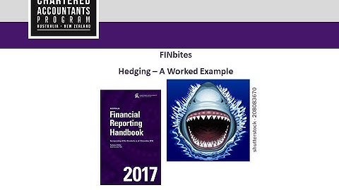 FINBites: Hedging - Worked Example