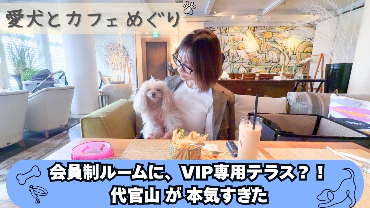 【保存版】中目黒→代官山🐶店内OK神店…代官山が本気すぎた！