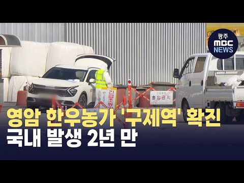 영암 <strong>한우농가</strong> &amp;#39;구제역&amp;#39; 확진..국내 발생 2년 만 (뉴스데스크 2025.03.14 광주MBC)